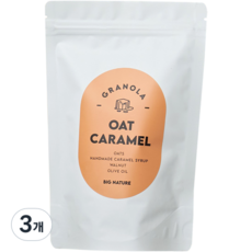 빅네이쳐 그래놀라 리필용 오트카라멜, 3개, 200g