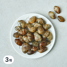 산지직송 부산13번 중매인 바지락 (냉장), 3개, 500g