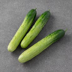 스마트팜 다다기오이, 100g, 1개, 5개입