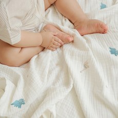 bamiblanc 兒童三層毛毯, 1個, 恐龍恐龍