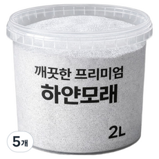 위드블럭 깨끗한 프리미엄 하얀모래 2L, 백색, 5개