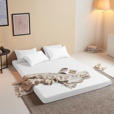 親膚床墊枕套 2入組, 白色的