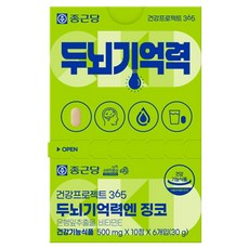 종근당 건강프로젝트365 두뇌기억력엔 징코 5g, 6개, 10정