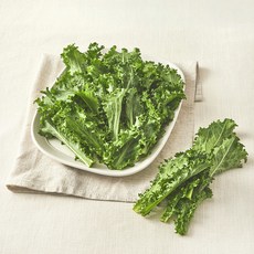 친환경 치커리, 300g, 1개
