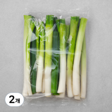 국내산 절단대파, 1kg, 2개