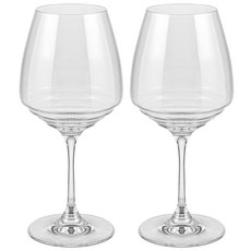 자페라노 누오베 에스페리엔제 아로마 레드와인잔, 600ml, 2개