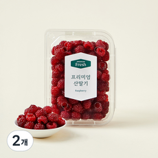 프리미엄 산딸기, 250g, 2개