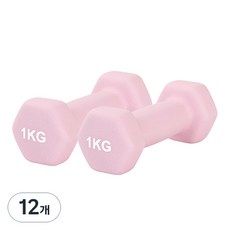 리브스포 논슬립 아령, 1kg, 12개