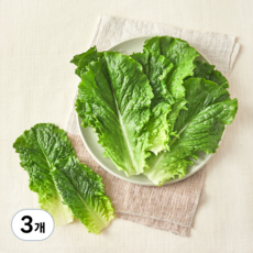 친환경 로메인, 70g, 3개