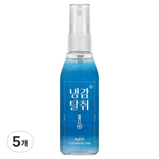 아우라 냉감탈취 섬유 스프레이 휴대용, 100ml, 5개