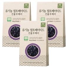 유가원 컬티베이티드 건블루베리, 160g, 3개