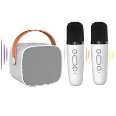 홈플래닛 무선 블루투스 노래방 듀얼 마이크 + 스피커 세트, 화이트, P2