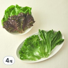 그린래빗 무농약 인증 유러피안 멀티플믹스 샐러드, 100g, 4개