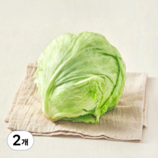 친환경 양상추, 1개입, 2개