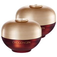 초공진 영안 진 크림, 60ml, 2개