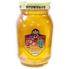 동광종합물산 홍천 벌꿀, 2.4kg, 1개