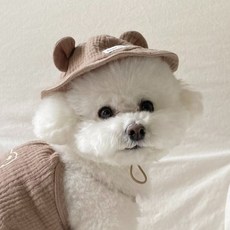 봉쥬르뚜뚜 강아지 Hi bear 모자, 초코, 1개