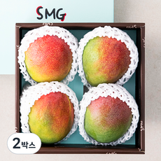 좋은하루 후숙해서 드리는 애플망고 4입, 1.6kg, 2박스