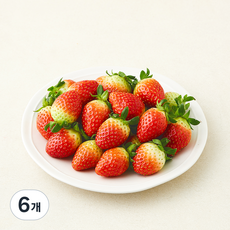 무농약 인증 논산 딸기 중과, 500g(중과), 6개