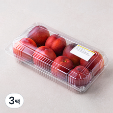 천도복숭아, 1.2kg(L, 8~10과), 3팩