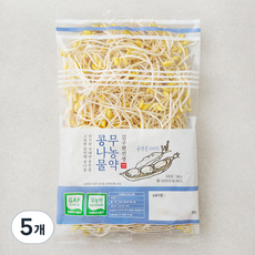 김구원선생 무농약 인증 콩나물, 300g, 5개