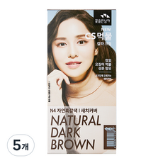 꽃을든남자 염색약, 5개, N4 자연흑갈색