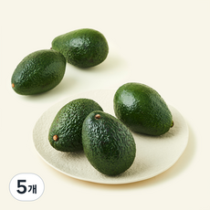 칠레산 이화원 아보카도 5~6개입, 5개, 1kg 내외