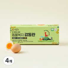 감동란 동물복지 인증 제주 계란 500g, 10구, 4개