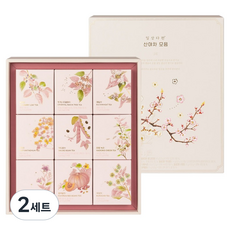 일상다완 산야차 9종 x 5p 선물세트, 2세트