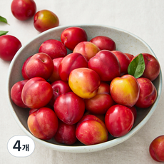 김천앤 내몸에 당도선별 꼬마 대석 자두, 2kg, 4개