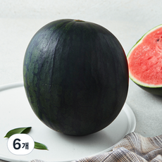 모두유통한반도 까망 애플수박, 3kg 미만, 6개