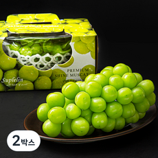 수플린 큰송이 샤인머스캣, 2박스, 800g