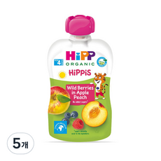 힙 이유식, 혼합맛(사과/복숭아/블루베리/라즈베리), 100g, 5개