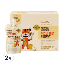베베팜 자연가득 우리아이 6년근 홍삼 배도라지 100ml x 10p, 2개, 혼합맛(홍삼/배/도라지)