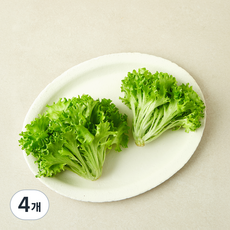 친환경 인증 이자벨 멀티립, 4개, 100g