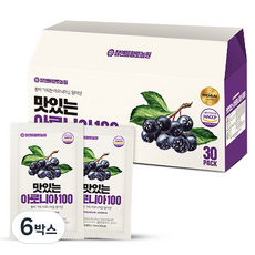 참앤들황토농원 맛있는 아로니아100 즙 30p, 2.1L, 6박스