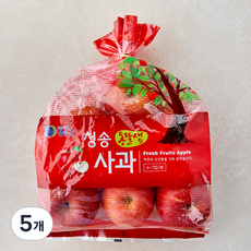 옹달샘 청송 사과, 5개, 1.5kg(중과 / 6~7입)