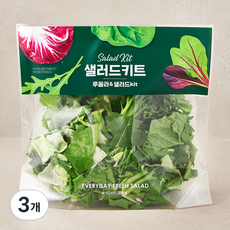 루꼴라 & 샐러드 키트, 200g, 3개