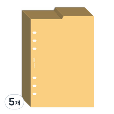 플레픽 6공 양면 인덱스 리필속지 망고 프리, 30매, 5개