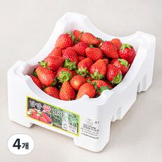 ONLYFARM 담양 한입딸기, 1kg, 4개