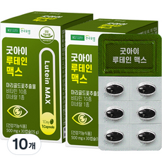 건국유업 굿아이 루테인 맥스 15g, 30정, 10개
