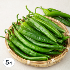 국내산 오이맛 고추, 1kg, 5개