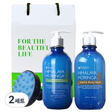 포고니아 모링가 샴푸 500ml + 바디워시 500ml + 두피 폼 브러쉬 선물세트, 2세트