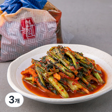 선농원 본 갓김치, 1.2kg, 3개