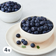 GAP 인증 상큼애 블루베리, 300g, 4개