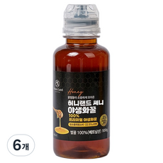 허니랜드 써니 100% 프리미엄 야생화꿀, 500g, 6개