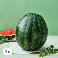 당도선별 11brix 수박, 5kg이상, 3개