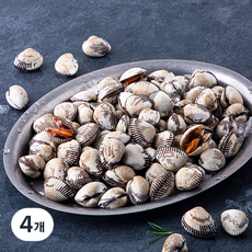 어부심 산지직송 갓 수확한 벌교 생물 새꼬막 (냉장), 1kg(대, 70~90알), 4개