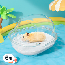 랜보어 햄스터 요트 클리어 모래통 M, 투명, 6개