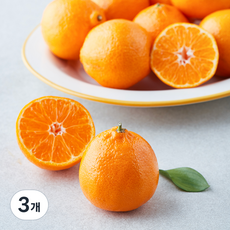 미국산 헤일로스 만다린, 2kg, 3개